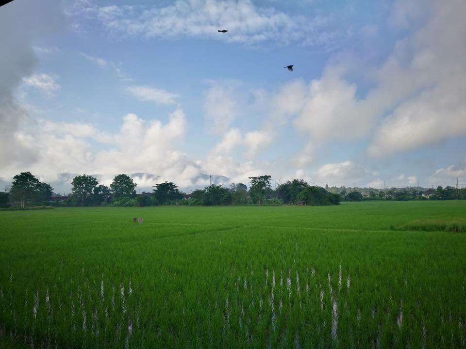 Banviewpui Resort Chiang Rai Ngoại thất bức ảnh