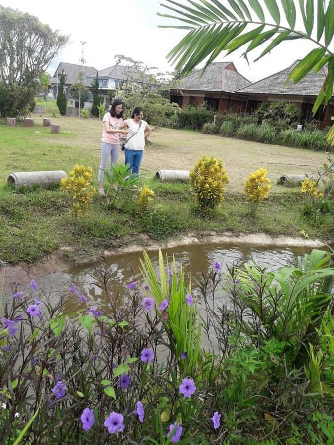 Banviewpui Resort Chiang Rai Ngoại thất bức ảnh